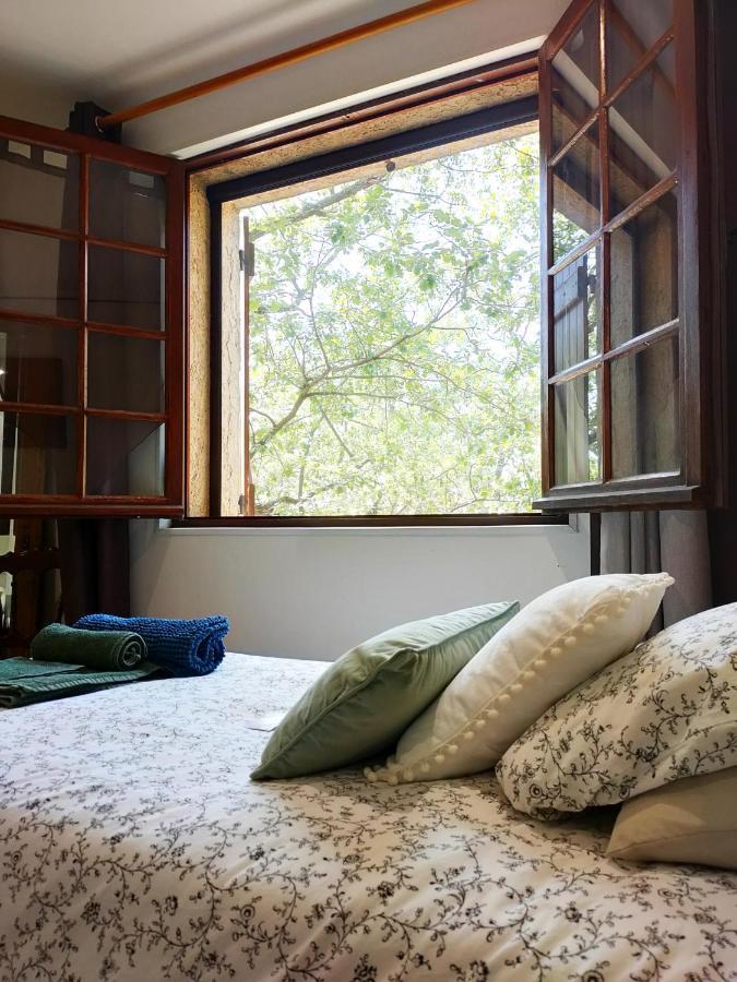 Villa Les Chariotins Draguignan Dış mekan fotoğraf