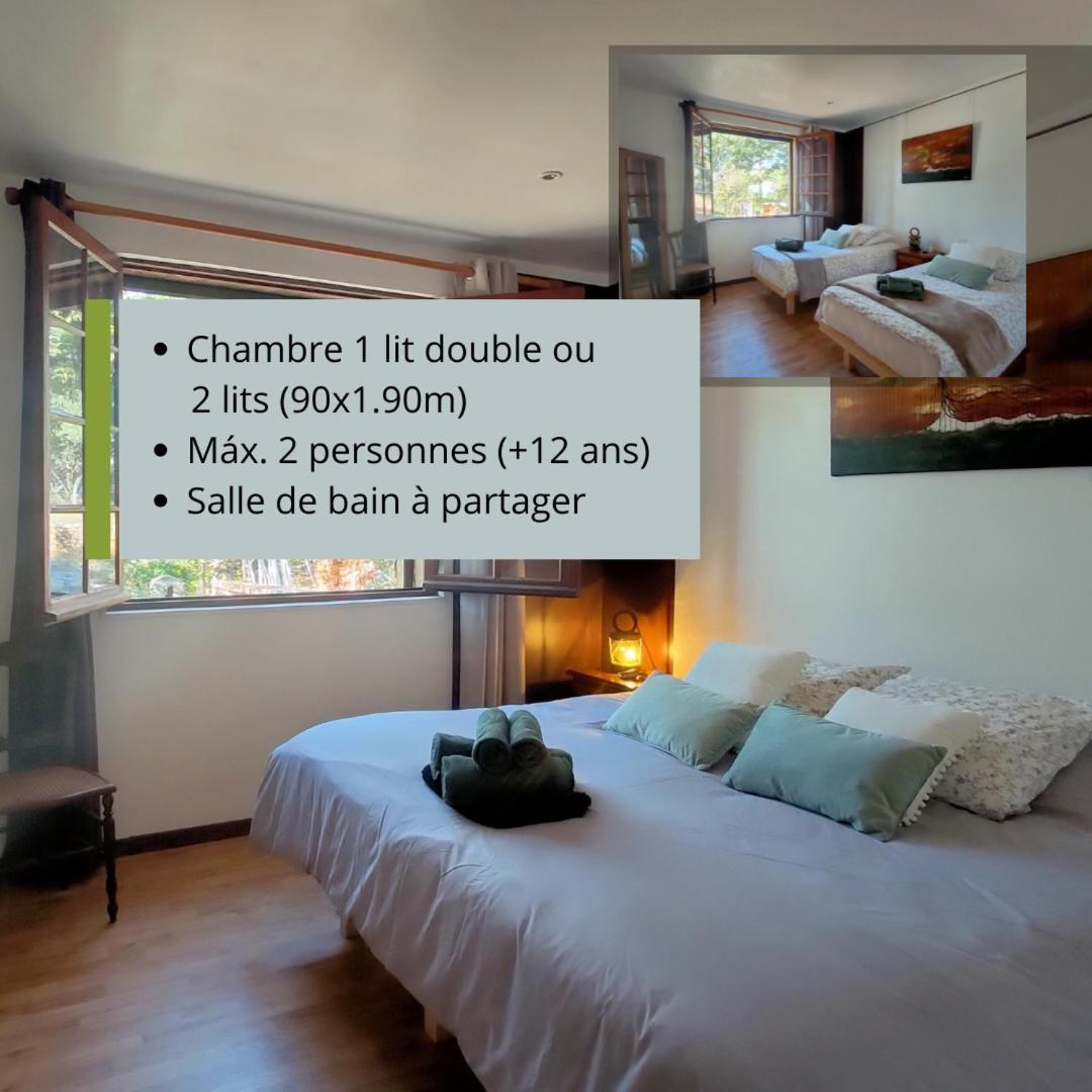 Villa Les Chariotins Draguignan Dış mekan fotoğraf